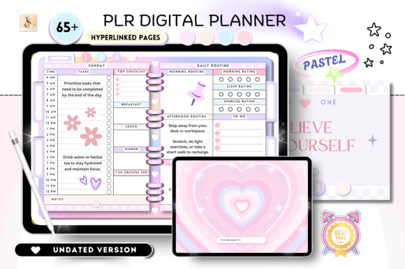 Download PLR Resell Canva Undated Digital Planner - Digital Collection